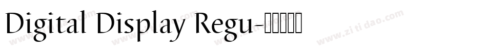 Digital Display Regu字体转换